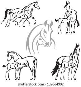 Mares and foals Brush-drawing based images of mares and foals. For advertisement of studs and breeding farms.