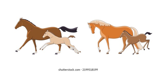 Mares con tontos en un paseo