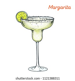 Margarita cocktail illustration. Alcoholic cocktails hand drawn vector illustration. 