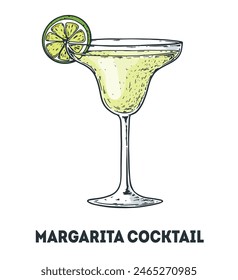 Margarita cocktail illustration. Hand drawn sketch. Vector illustration. Isolated object.