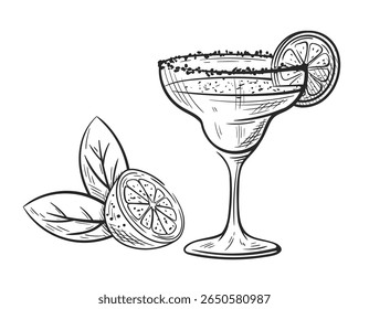 Coquetel de margarita com mão de cal desenhada isolada em fundo branco. Esboço antigo de vidro de bebida alcoólica. Coquetel de festa. Ilustração vetorial