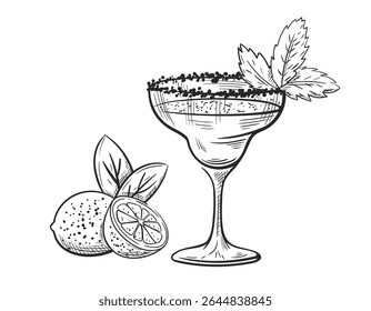 Margarita cocktail with lime and mint hand drawn isolated on white background. Vintage sketch of alcoholic drink glass. Party cocktail. Vector illustration