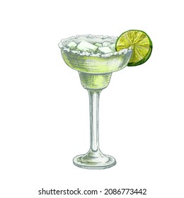 Margarita cocktail with slice lime, ice cube and salt. Vintage hatching vector color illustration. Isolated on white background