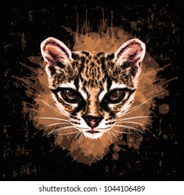 Margay - Vector Illustrative  of a wild cat. 