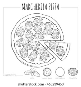 Margherita pizza top view with ingredients. Hand drawn illustration