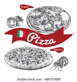 Margherita and Seafood pizzas illustration. Vector illustration of pizzas