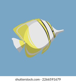 Margined Coralfish, vector, flat design, illustration, object, sea, biota, fish