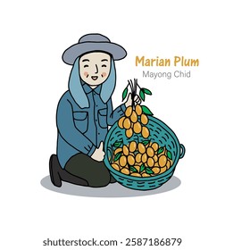 Marian plum from garden, farmer holding Marian plum or Mayong chid. Hand drawn style vector illustration.