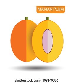 Marian plum or maprang (thai fruit) vector illustration