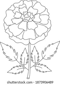 Marigold black and white clip art, simple marigold flower vector clip art