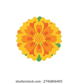 Marigold Bloom with Decorative Petal Pattern Flat Vector