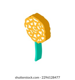 marigold blossom spring isometric icon vector. marigold blossom spring sign. isolated symbol illustration