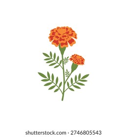 Marigold Botanical Plant Smooth Flat Icon Vector Graphic