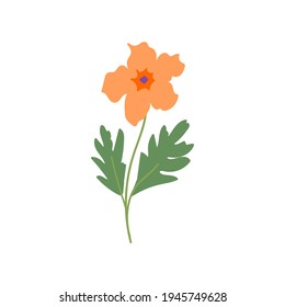 Marigold Flower Blossom flat Vector Illustration. 