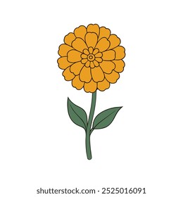 Ilustração de cor de flor de Marigold e arte de linha.