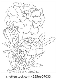 Marigold Flower Coloring Page For Adult