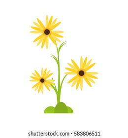 marigold flower decorative plant vector illustration eps 10
