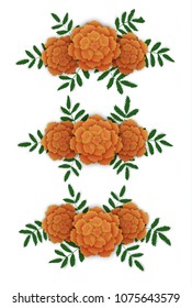 Marigold flower design elements.