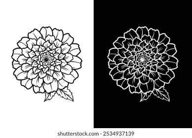 Marigold flower drawing silhouette vector illustration. Marigold silhouette icon white background.	