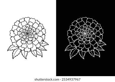 Marigold flower drawing silhouette vector illustration. Marigold silhouette icon white background.	