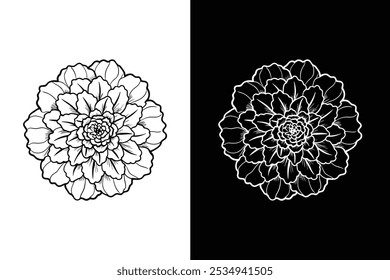 Marigold flower drawing silhouette vector illustration. Marigold silhouette icon white background.	