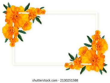 Marigold flower frame blossom banner realistic style. Color bouquet natural fresh orange tender background invitation wedding label product promo board. Summer card simple light isolated on white