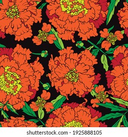 Marigold flower. Garden and meadow plant marigold. Seamless vector pattern with home colors. Hand drawing.
