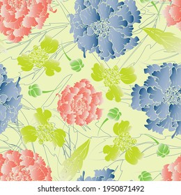 Marigold flower. Garden and meadow plant marigold. Seamless vector pattern with flowers. Hand drawing.