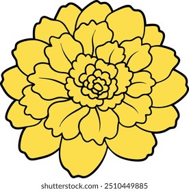 Marigold Flor Bom Vetor Ilustração