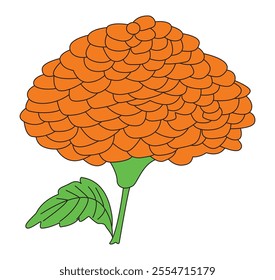 Marigold flower with green leaves