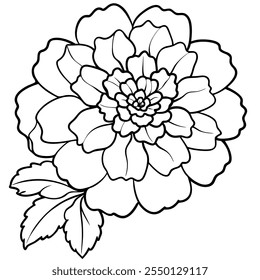 marigold flor linha arte símbolo vetor isolado ilustração no fundo branco