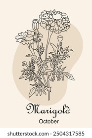 Marigold flower line art vector botanical illustration. October birth month flower hand drawn black ink sketch. Modern design for logo, tattoo, wall art, packaging isolated on beige background.