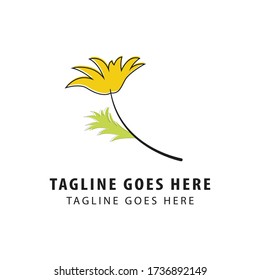 marigold flower logo design template. florist logo icon. vector.