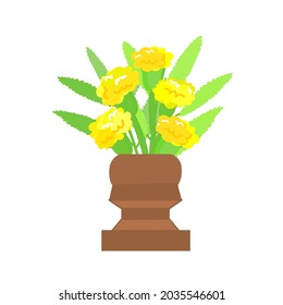 Marigold Flower on white Background	