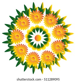 Marigold flower on white background