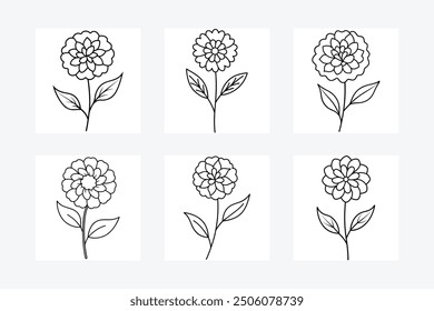 Marigold flower set line art vector illustration