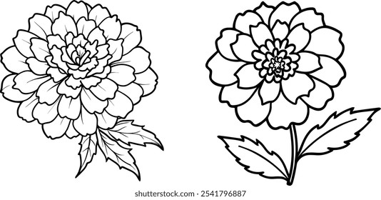 Marigold Flower set vector silhouette for illustration.