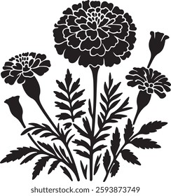 Marigold flower silhouette vector illustration