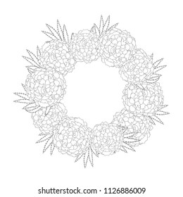 Marigold Flower - Tagetes Wreath Outline isolated on White Background. Vector Illustration.