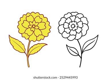 Ilustração do vetor da flor de Marigold - arte botânica laranja vibrante e design floral