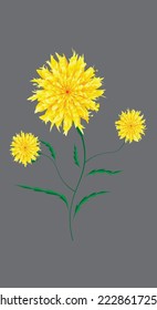 marigold flower with vectorised formate