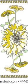 Marigold flowers