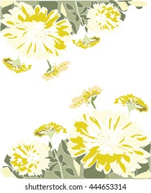 Marigold flowers
