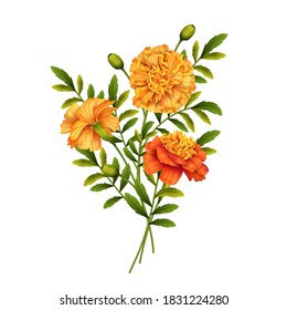 Marigold flowers. Beautiful bouquet of flowers on white background