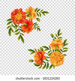 Marigold flowers. Beautiful flower arrangement on transparent background