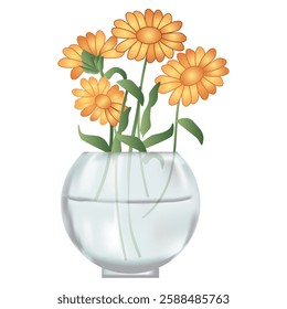 Marigold Flowers in a glass vase illustration