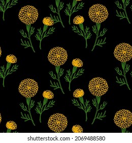 Marigold flowers on black background,Hand-drawn seamless pattern in embroidery style.