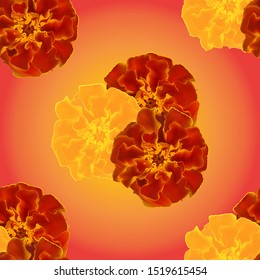 Marigold flowers on Burgundy gradient background, seamless pattern, vector