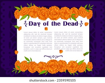 Marigold flowers on Dia De Los Muertos Day of the Dead holiday banner. Mexican Halloween vector poster with borders of orange flowers garlands on purple papel picado paper cut flag background