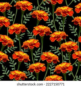 Marigold flowers vector seamless pattern